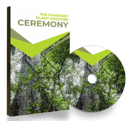 The Sacred Sound Healing System Bonus